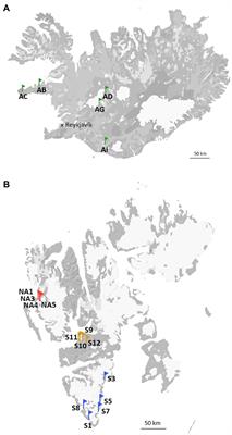 Biocrusts from Iceland and Svalbard: Does microbial community composition differ substantially?